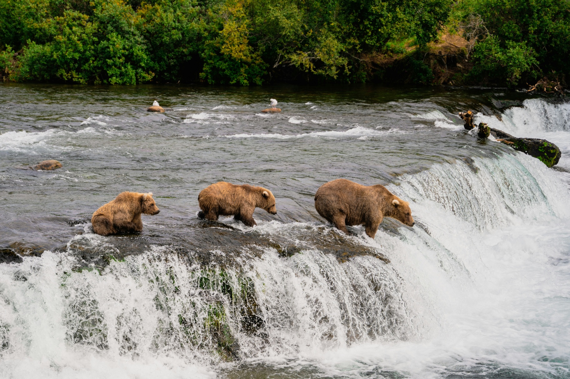 July in Alaska
